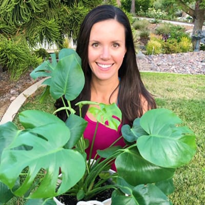 Claire Akin Monstera Grower