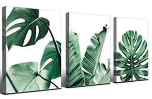 The Ultimate Gift Guide for Monstera Lovers - Monstera Resource Center