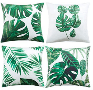 The Ultimate Gift Guide for Monstera Lovers - Monstera Resource Center