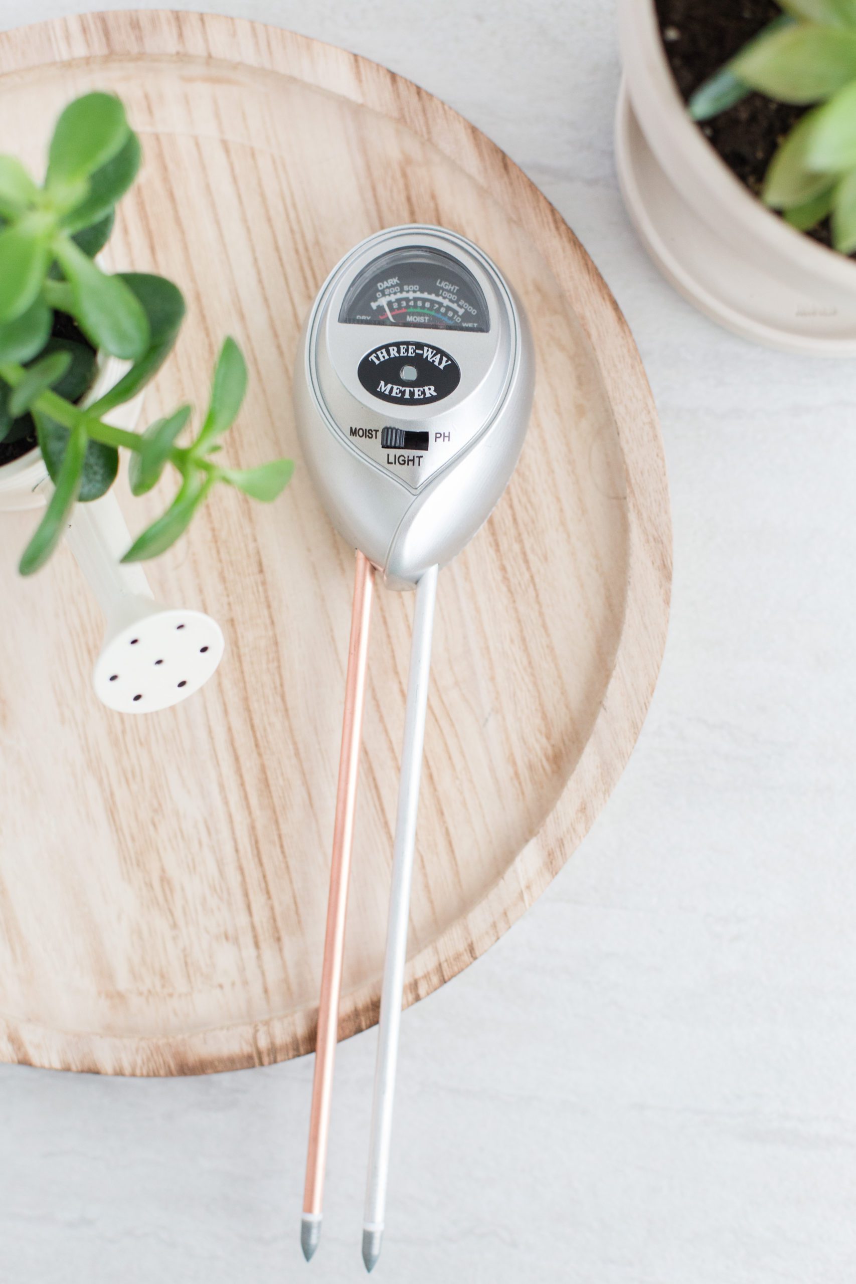 The Best Monstera Moisture Meter: How to Use a Moisture Meter to