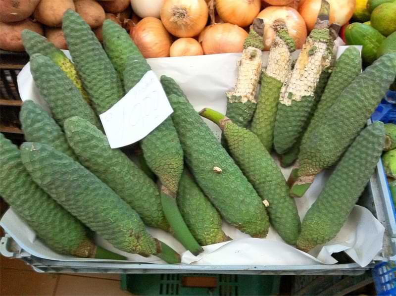 What to Do With Monstera Fruit: How to Prepare Mexican Breadfruit