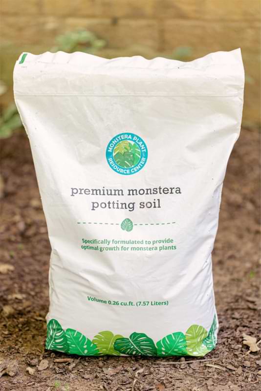 The Best Soil for Monsteras