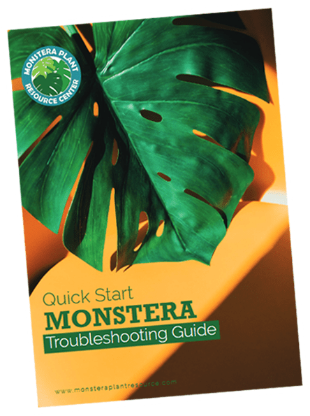 Monestera-Troubleshooting-Guide