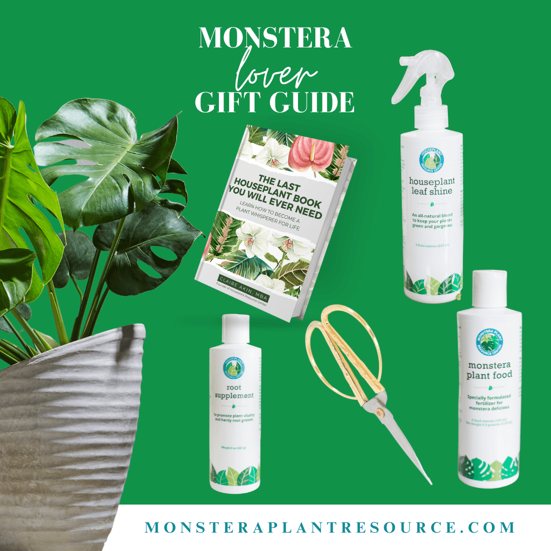 Show the houseplant lover in your life how much you care with the eight best gifts for Monstera growers in your life.