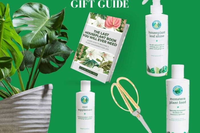 Show the houseplant lover in your life how much you care with the eight best gifts for Monstera growers in your life.